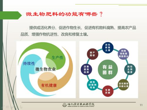 春風(fēng)吹沃野 科技助農(nóng)線(xiàn)上課堂之微生物與農(nóng)業(yè)百問(wèn)百答